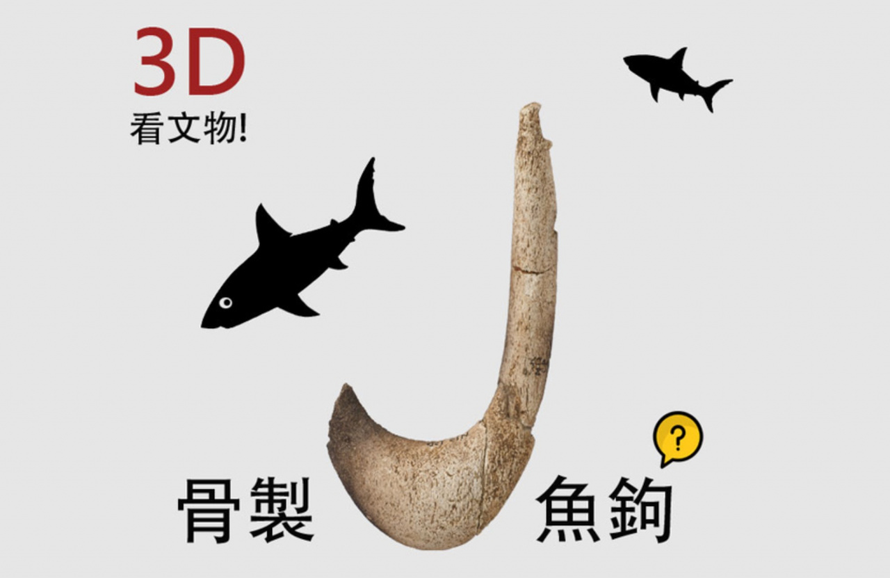 【3D看文物】3_骨製魚鉤