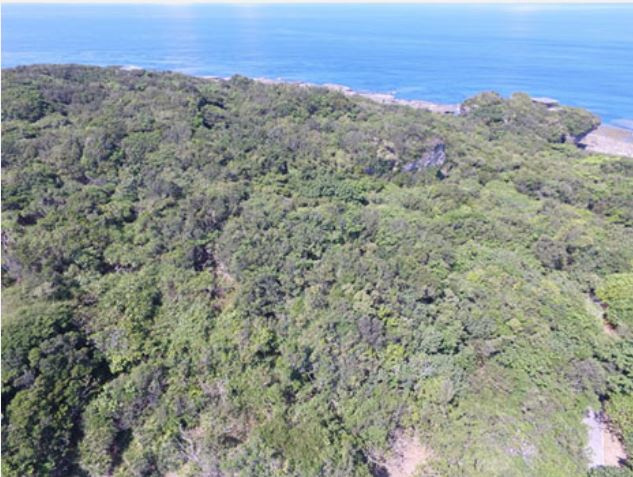 <p>鵝鑾鼻第二遺址空拍照，地形是珊瑚礁隆起平台，佈滿熱帶植被，右上方臨海的小亭子為滄海亭。</p>