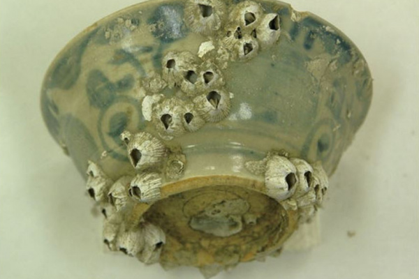 <p>蔡育林2011&lt;水下考古遺物的保存與維護&gt;。《科學發展》458:18。</p>