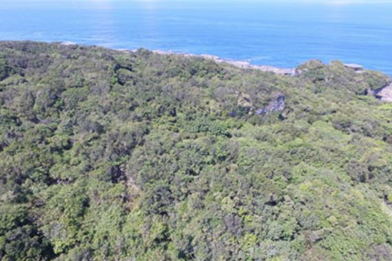 <p>鵝鑾鼻第二遺址空拍照，地形是珊瑚礁隆起平台，佈滿熱帶植被，右上方臨海的小亭子為滄海亭。</p>